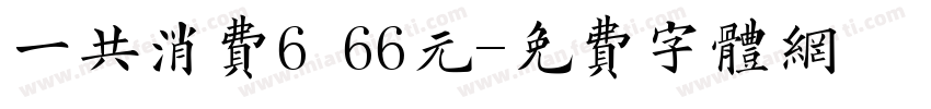 一共消费6 66元字体转换